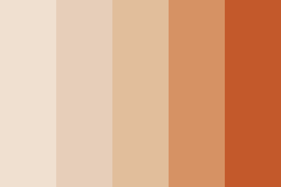 Terracotta Color